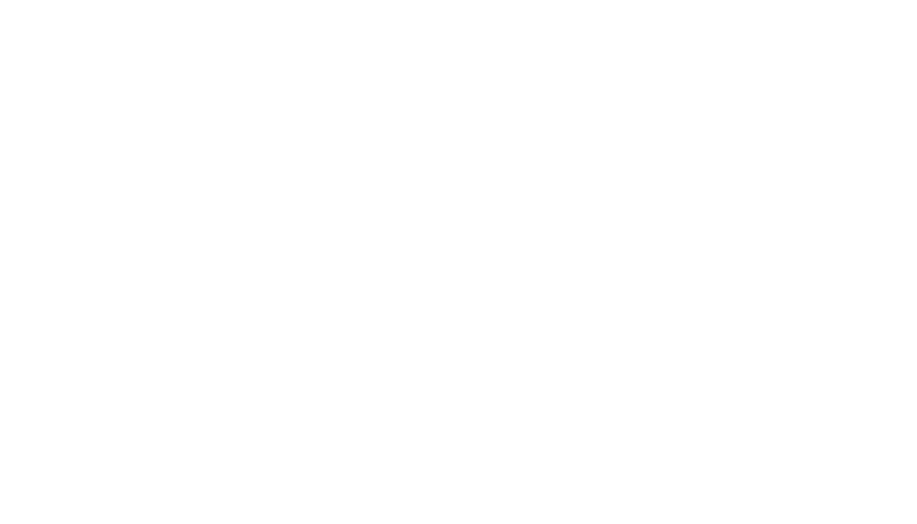 SVteic logo Blanc